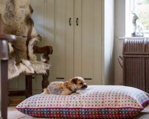 Mäkučký matrac pre psa